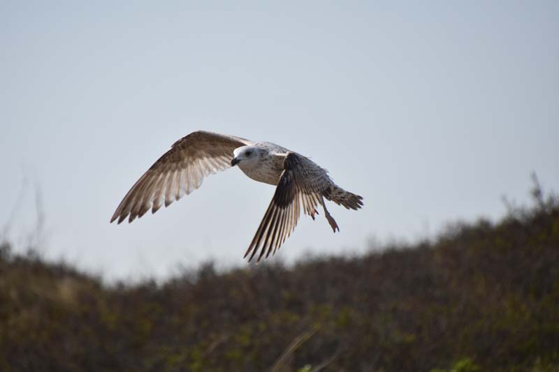 19-04-18_Holl_0257_GA2_8968