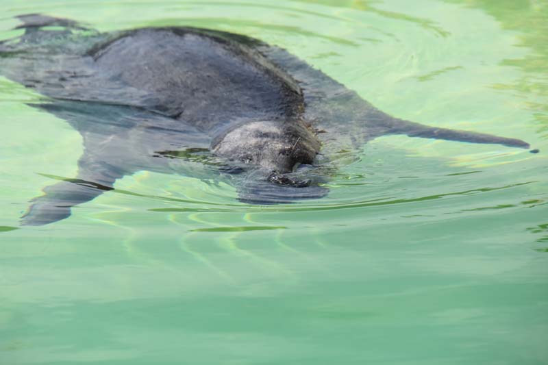 19-04-18_Holl_0305_GA2_8983