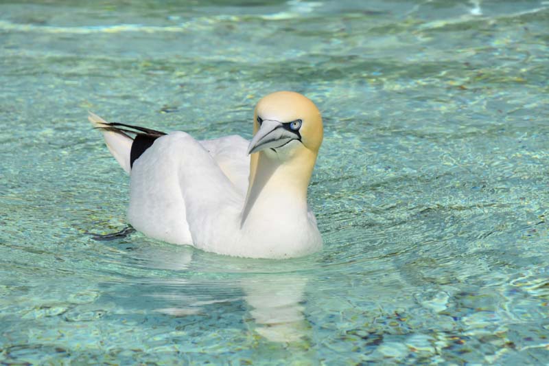 19-04-18_Holl_0409_GA2_9037