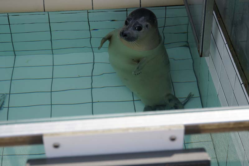 19-04-18_Holl_0449_LeS_04046