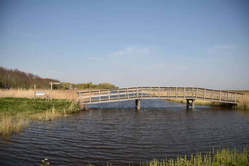 19-04-18_Holl_0790_GA2_9252