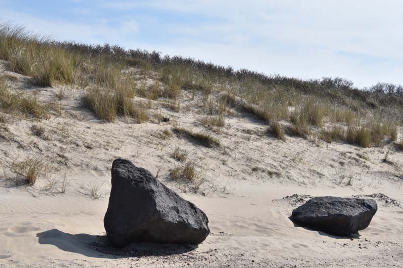 19-04-18_Holl_0815_GA2_9277