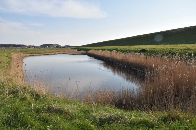 19-04-18_Holl_0911_GA2_9359