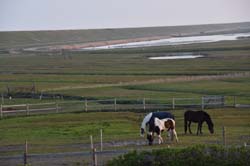 19-04-18_Holl_0005_GA2_8791