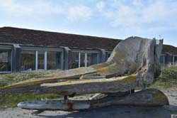 19-04-18_Holl_0184_GA2_8945