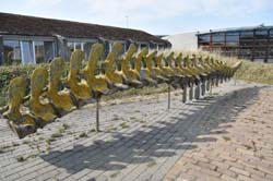 19-04-18_Holl_0188_GA2_8949