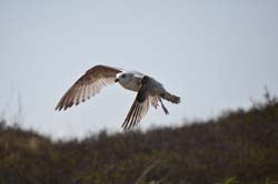 19-04-18_Holl_0257_GA2_8968