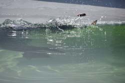 19-04-18_Holl_0324_GA2_8991