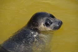 19-04-18_Holl_0393_GA2_9026