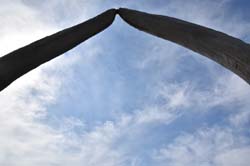 19-04-18_Holl_0500_GA2_9078