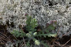 19-04-18_Holl_0510_GA2_9085