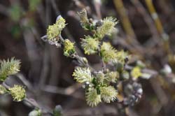 19-04-18_Holl_0512_GA2_9087