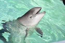 19-04-18_Holl_0598_GA2_9117