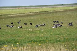 19-04-18_Holl_0779_GA2_9241