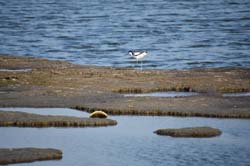 19-04-18_Holl_0922_GA2_9366