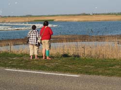 19-04-18_Holl_0935-2-Mar_P4180077